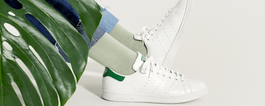 classic adidas sneaker with a plant backdrop