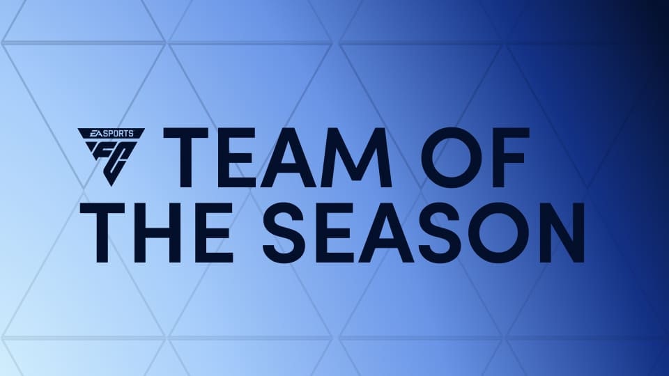Team of the Season title