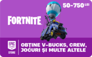 Fortnite Variable Gift Card - RO